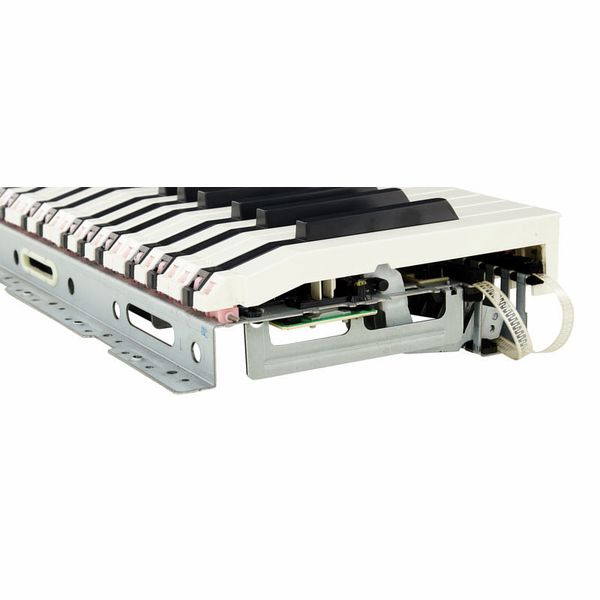 Doepfer LMK2+ 88 GH without Case