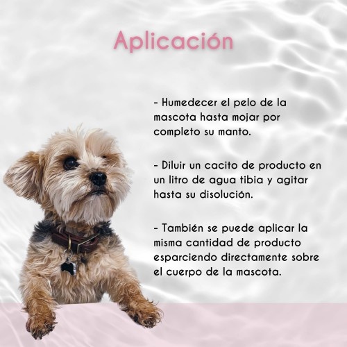 Petuxe, micropartículas de shampoo especial para tosadores.
