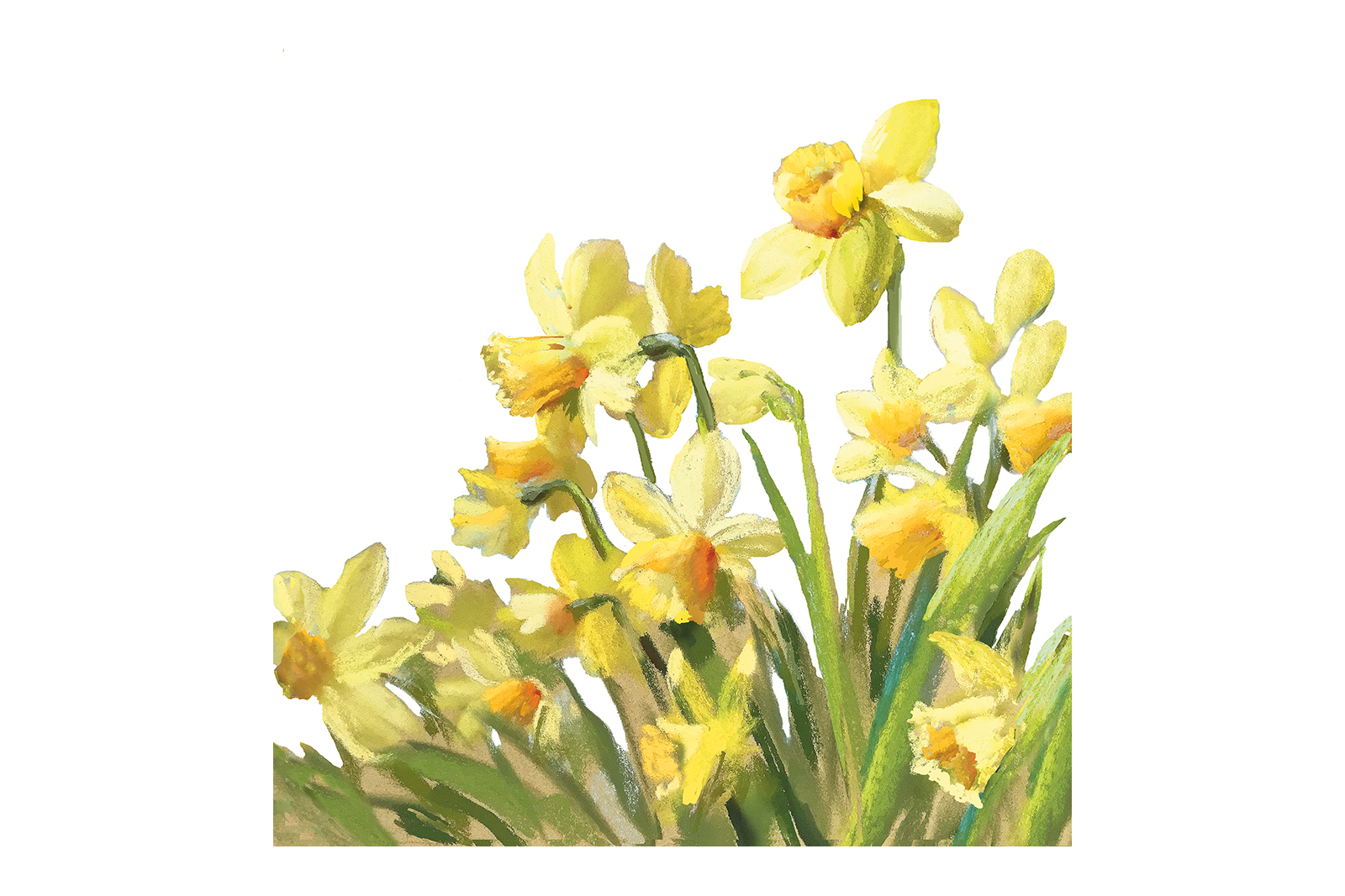 Golden Daffodils påskeservietter Gul 33x33 cm. 20 pk.