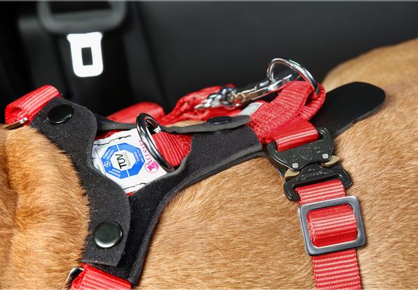 kleinmetall® Hundesicherheitsgurt Allsafe