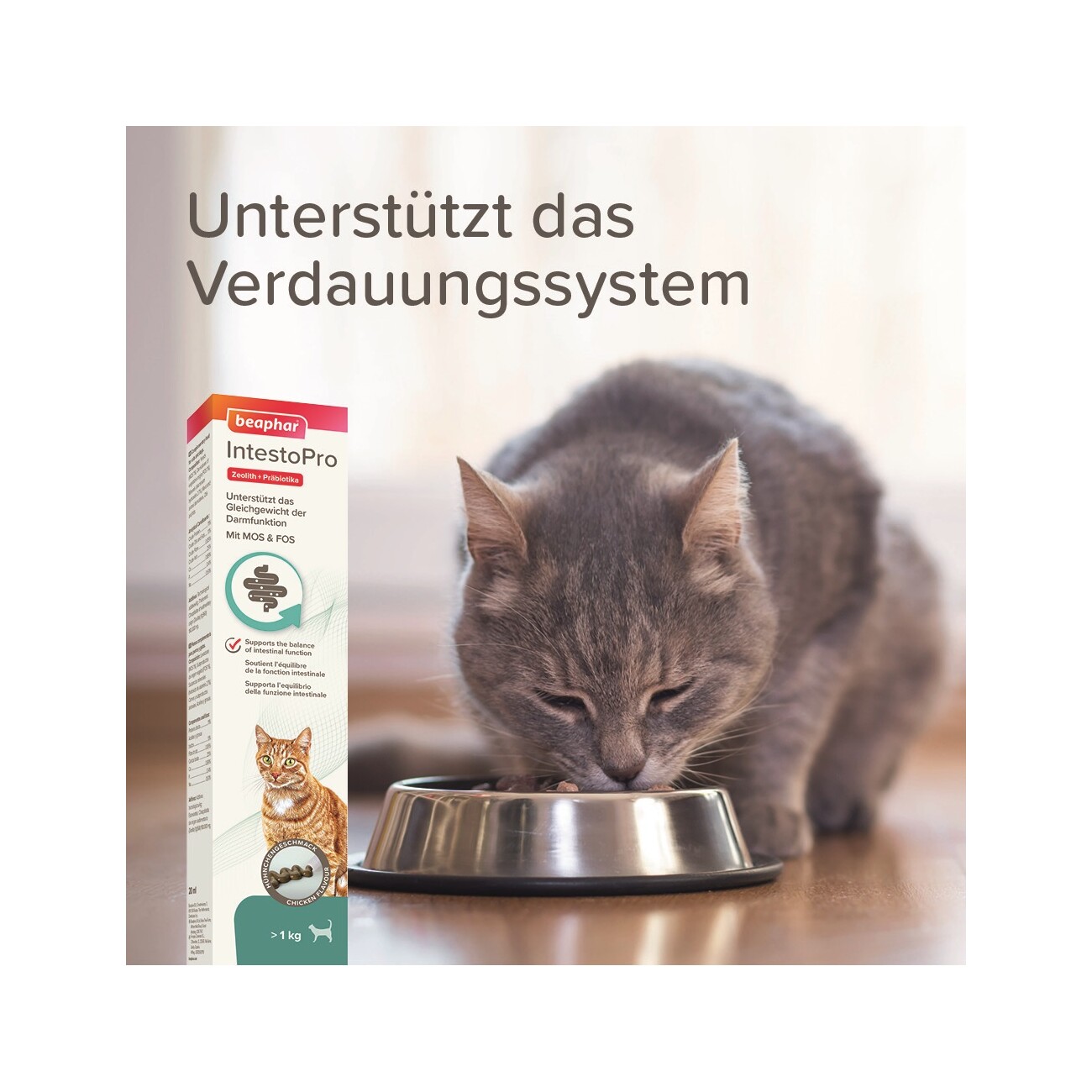 Beaphar IntestoPro Paste für Katzen 20 ml