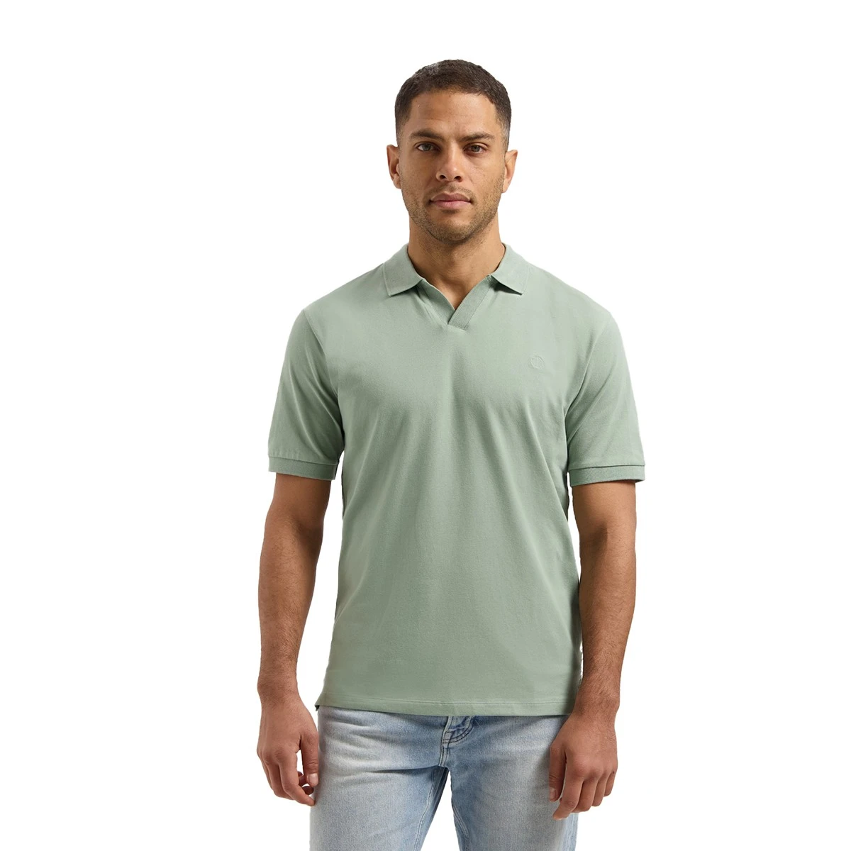 Heren Polo 240030 Roy