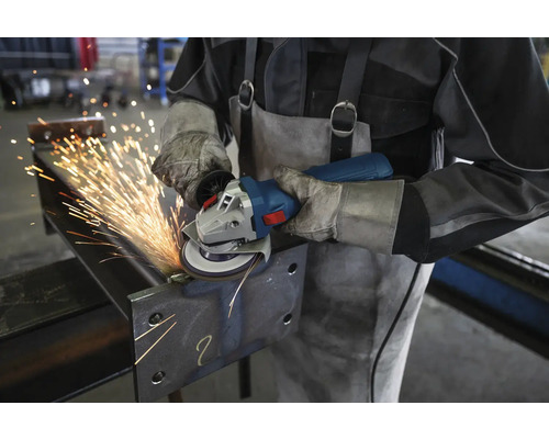 Bosch Professional haakse slijper Ø 125 mm 1,2 W 220 V