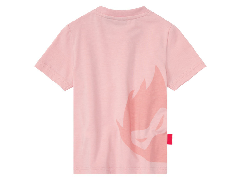 2 meisjes T-shirts
