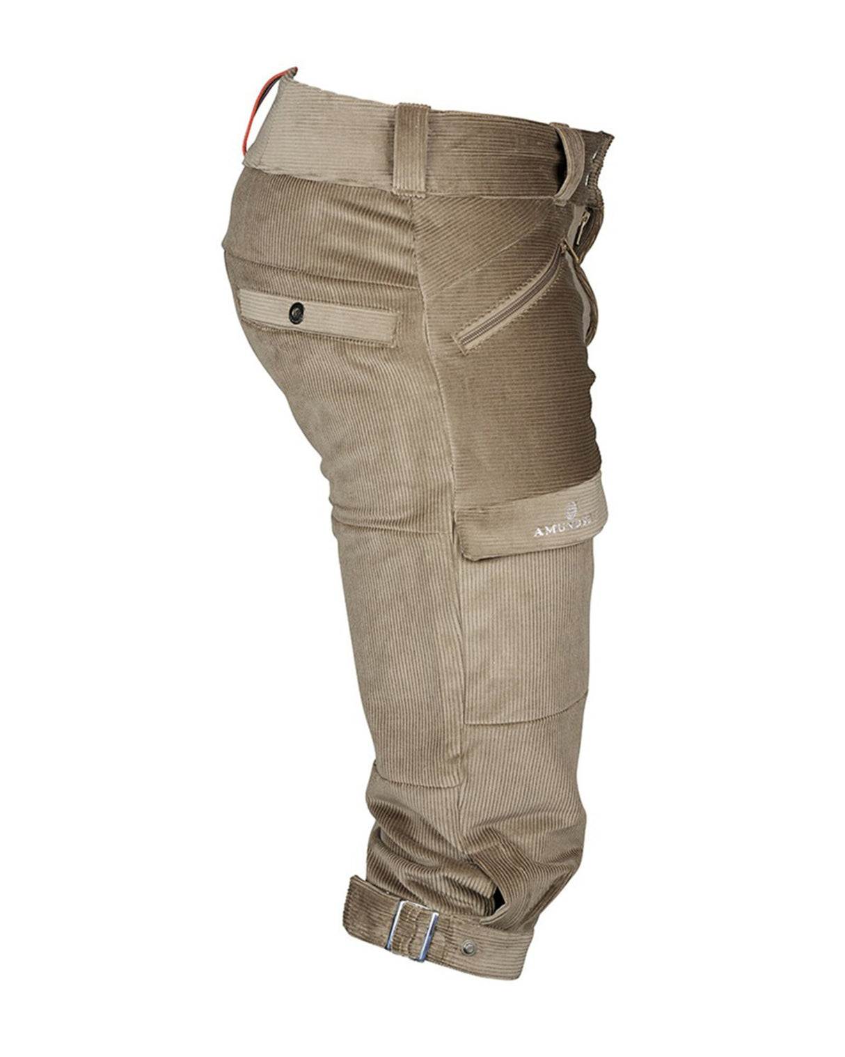 Amundsen<br>Concord Regular