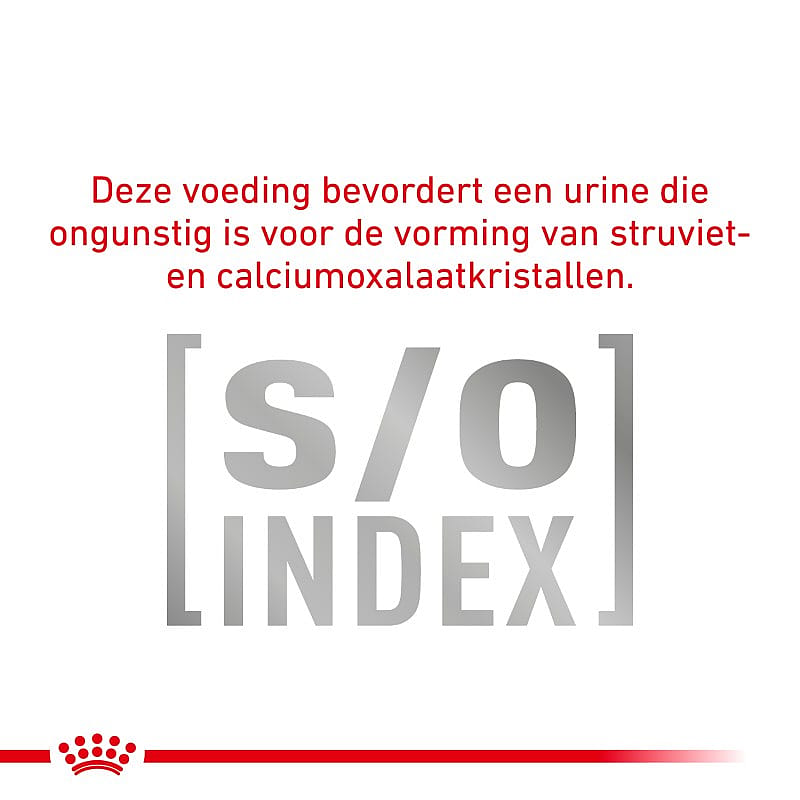 Royal Canin Diabetic Special Natvoer Hond | 12 x 410 gram blikjes | 3947