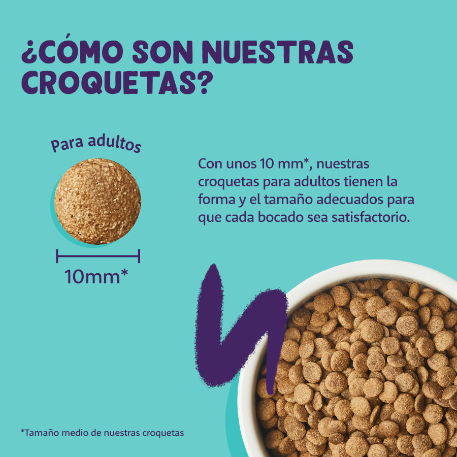 Ração para gatos adultos Edgard & Cooper com peru e frango