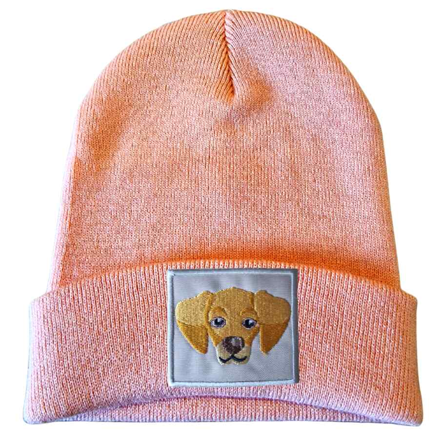 CHAPÉU PARA CÃES GOLDEN RETRIEVER