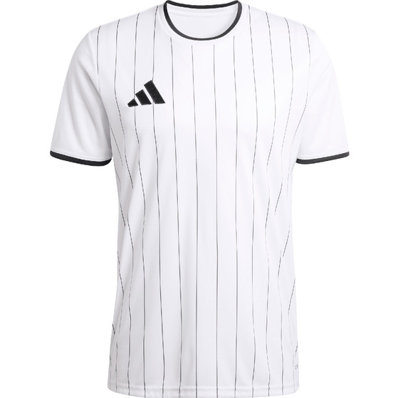 adidas Entrada 26 GFX Trainingsset