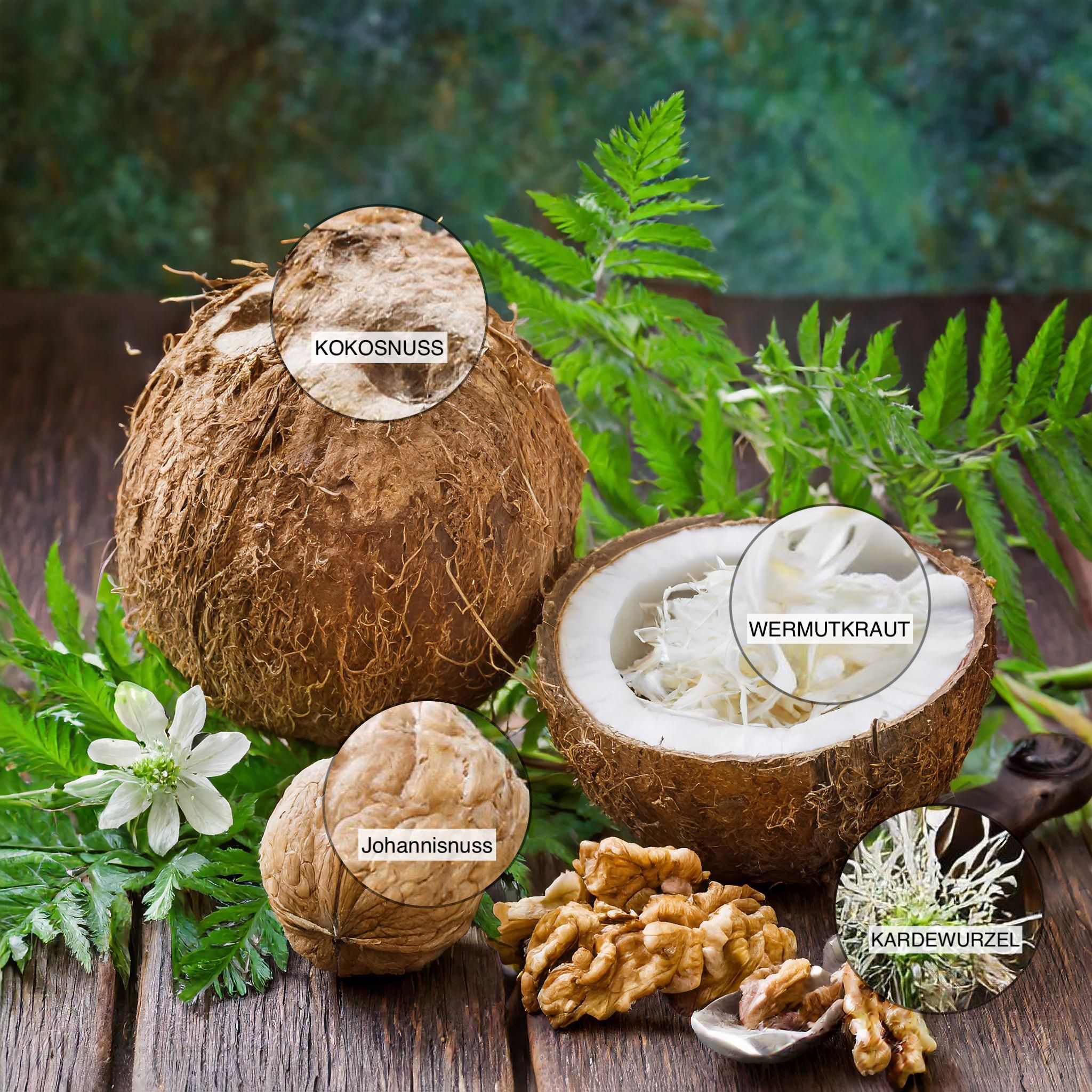 TierGlück Zeckerli® Drops mit Kokosnuss und Kardewurzel für Hunde