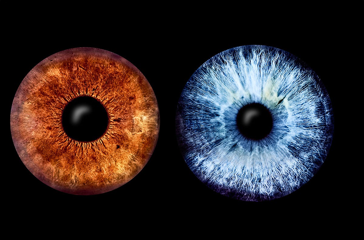 Iris Fotografie für 2 Haßfurt