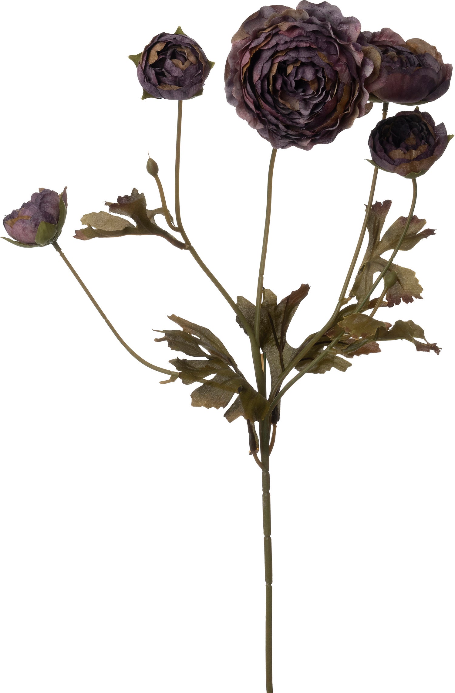 Intratuin kunstbloem Ranonkel paars 62 cm