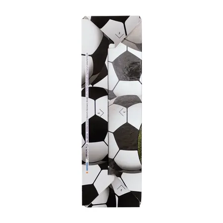 HERMA Stehsammler Karton Fussball, A4