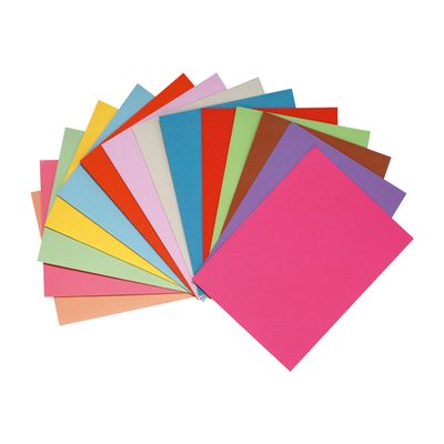 Exacompta Forever Foldyne - 100 Chemises - 220 gr - couleurs assorties