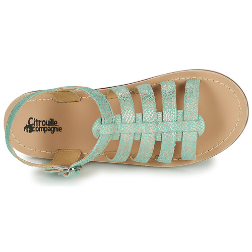 Citrouille et Compagnie - MAYANA - Turquoise