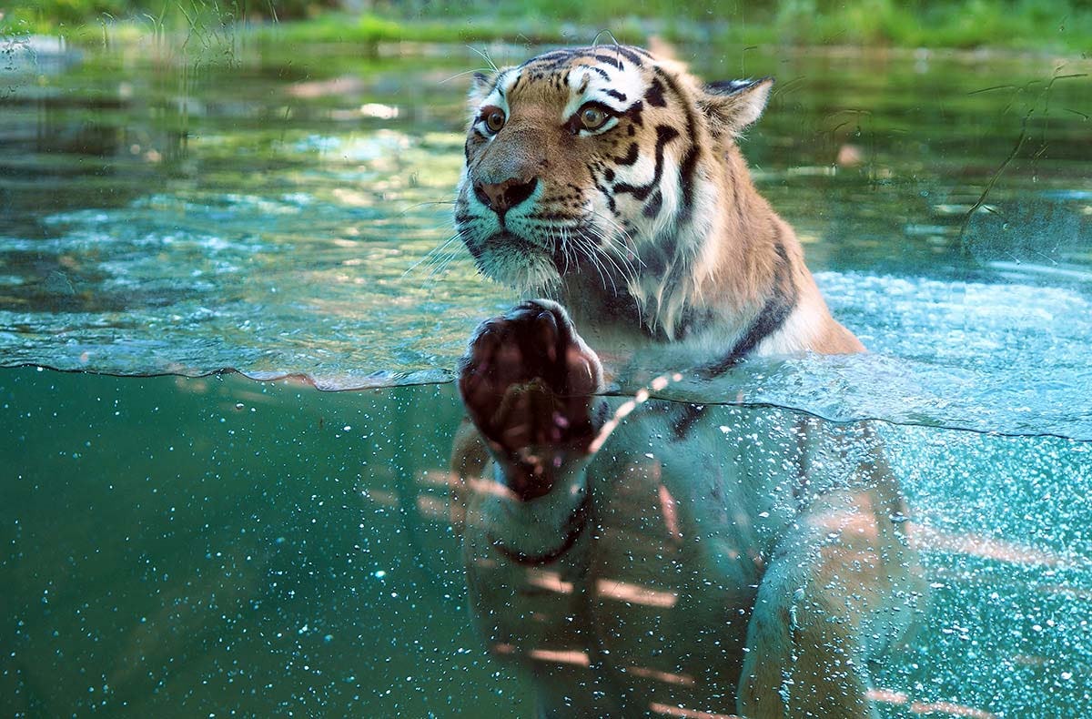 Lunch & Zoo Leipzig für 2