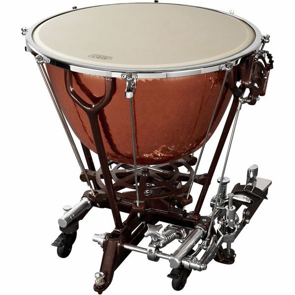 Adams 29
