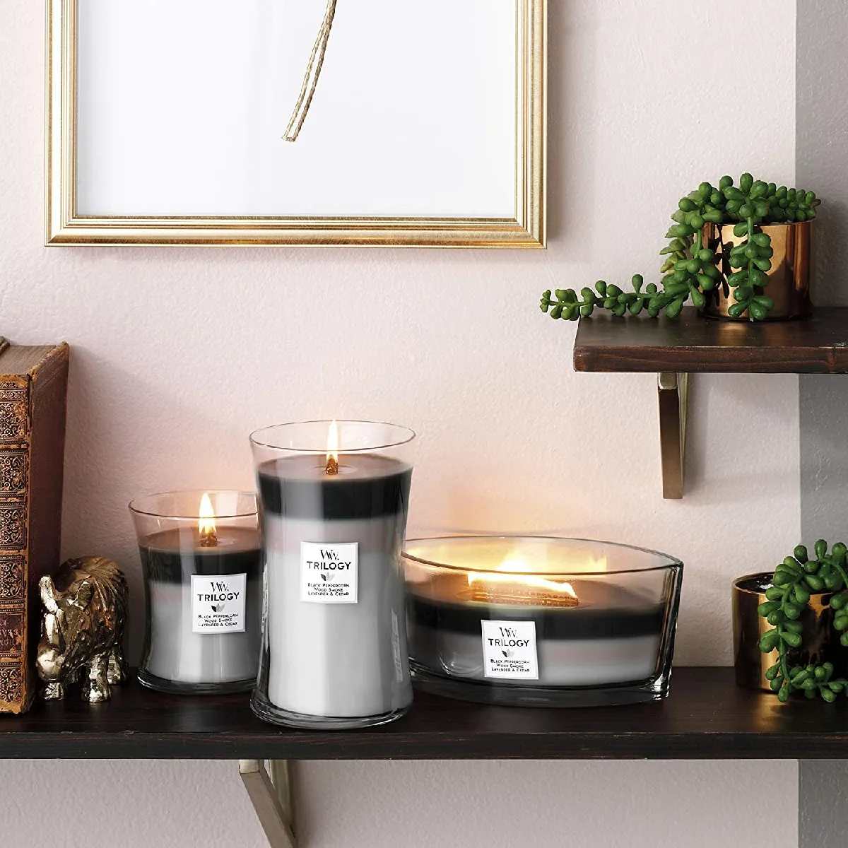 WoodWick Ellipse Trilogy Forêt Ensoleillée