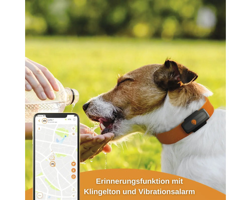 GPS tracker weenect voor honden, 28 g, 6 x 2,4 x 1,5 cm, zwart