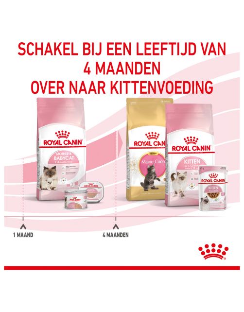 Royal Canin Mother & Babycat - Kitten-Kattenvoer