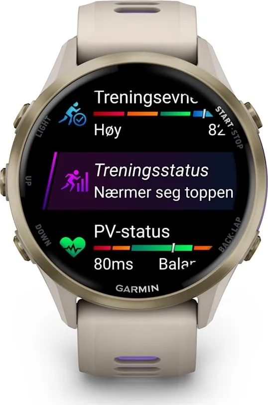 Garmin Forerunner 970 French Gray/indigo