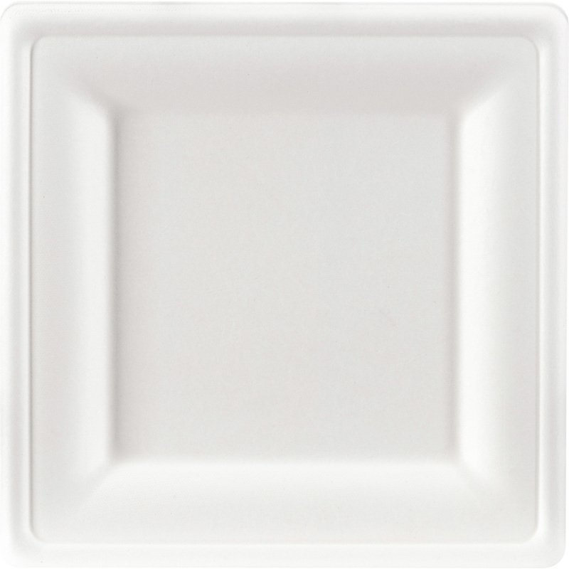 Assiette en canne à sucre 20 x 20 cm, blanche - Lot de 100