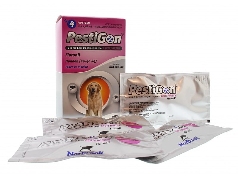 Pestigon Hond Klein 2 -10 kg 4 pipetten