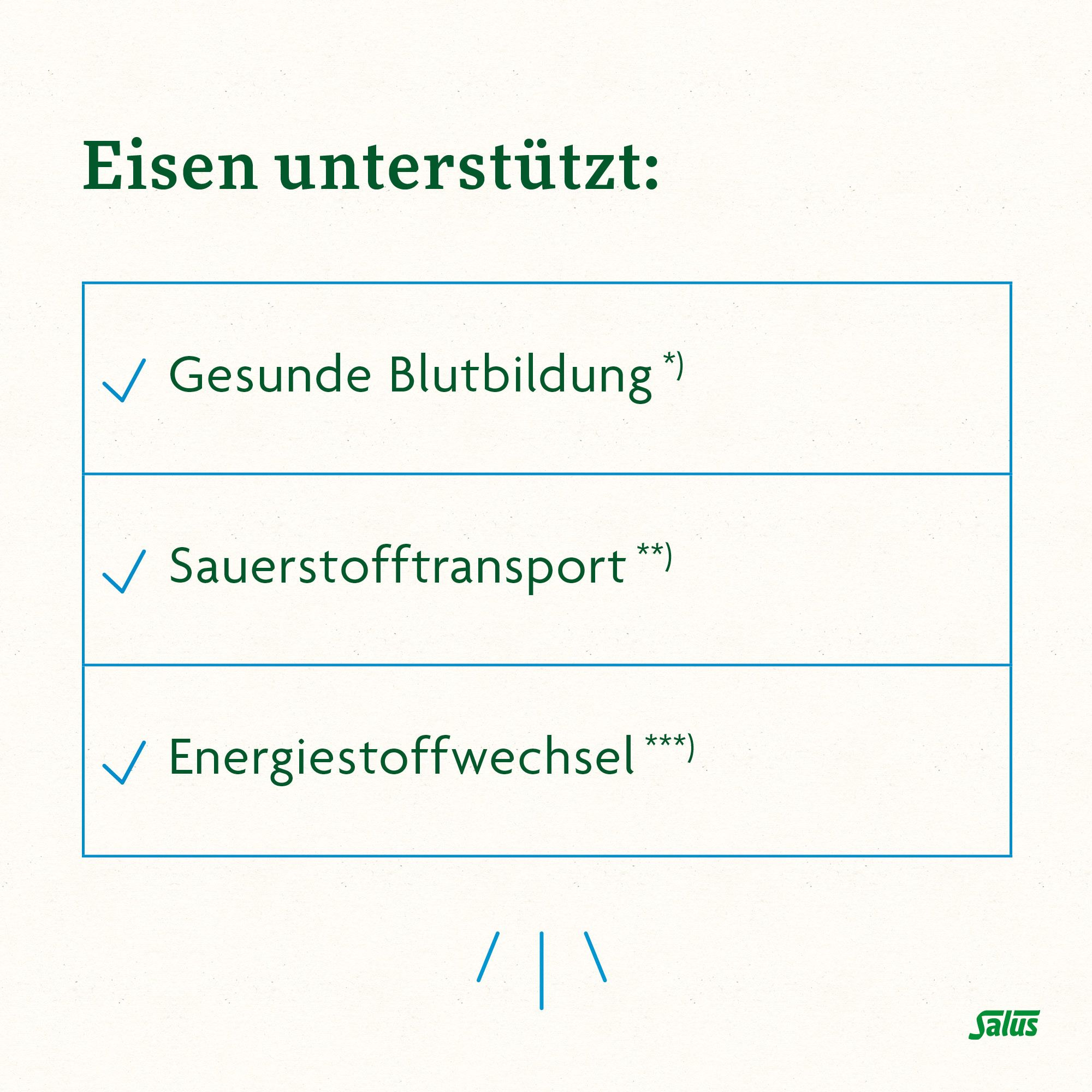 Salus® Floradix® Eisen plus B12 vegan