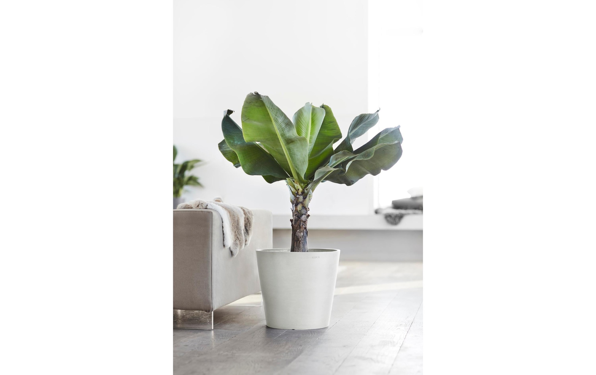 ECOPOTS Pflanzkübel »Amsterdam 40«