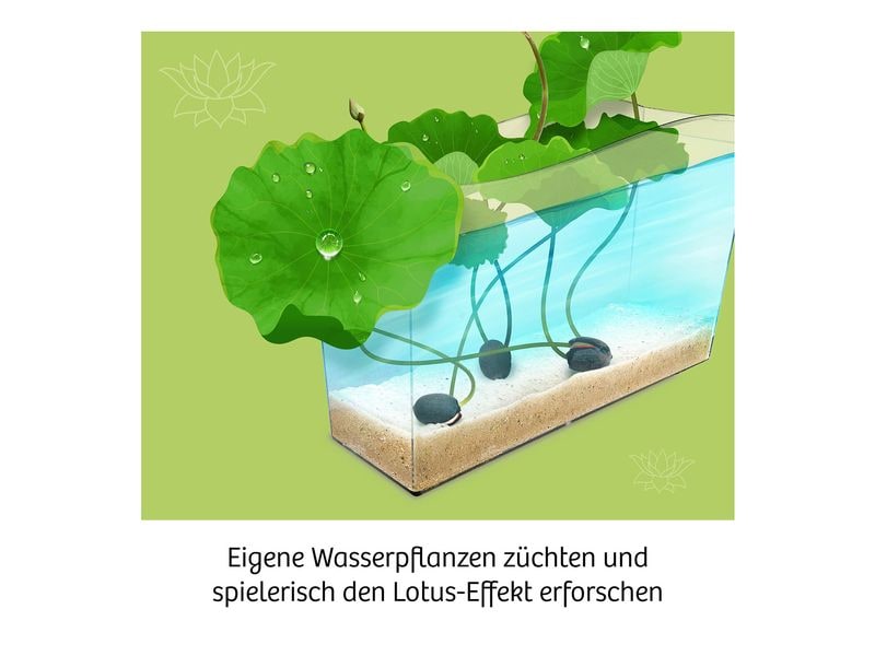 Kosmos Experimentierkasten Lotusblume Einzigartiges Anzuchtset