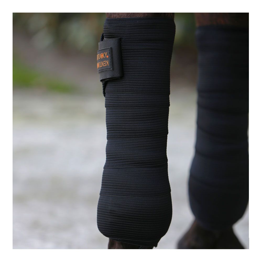 Kentucky POLAR & ELASTIC - Bandes de polo black