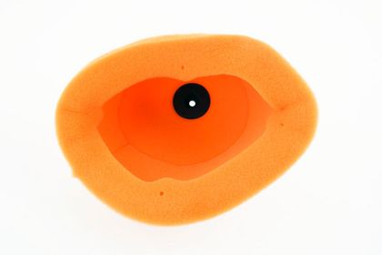 Filtre à air Twin air 158072 TM