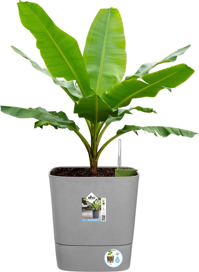 Elho bloempot Greensense Aqua Care grijs 38 x 38 x 38,9 cm