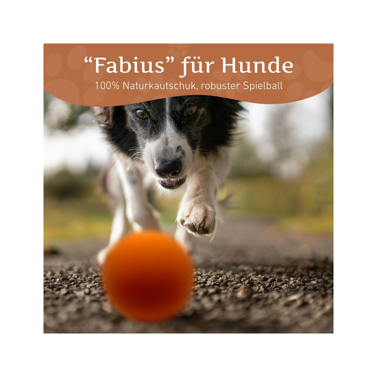Wildfang Spielzeug Ball Bouncer