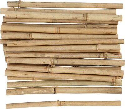 Bambuspinde - L 20 CM - Tykkelse 8-15 MM - 30 Stk