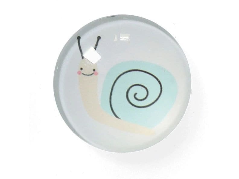 Zeller Present Magnete Insekten 4 Stück Magnetset