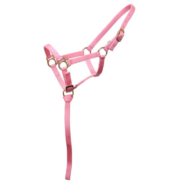 Veulenhalster Barato Roze