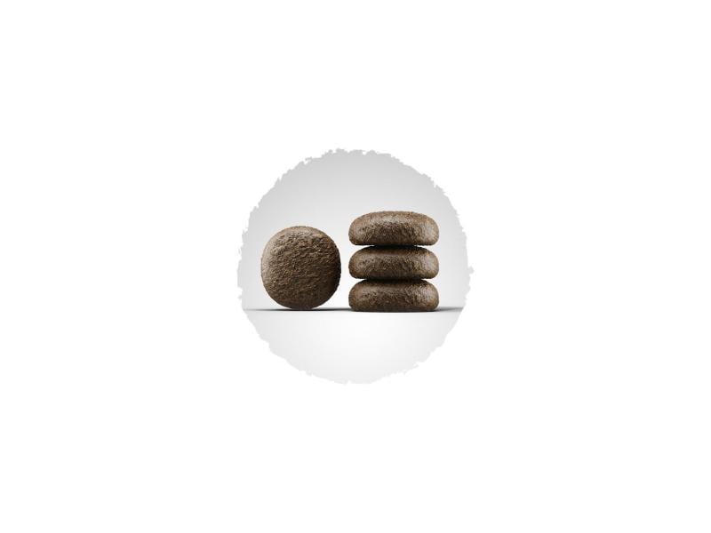Josera Trockenfutter Daily Adult Festival, 12.5 kg Alleinfuttermittel für ausgewachsene Hunde