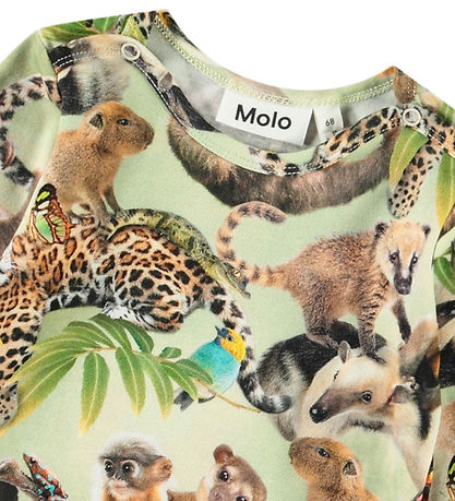 Molo Body L/æ - Foss - Jungle Jungtiere