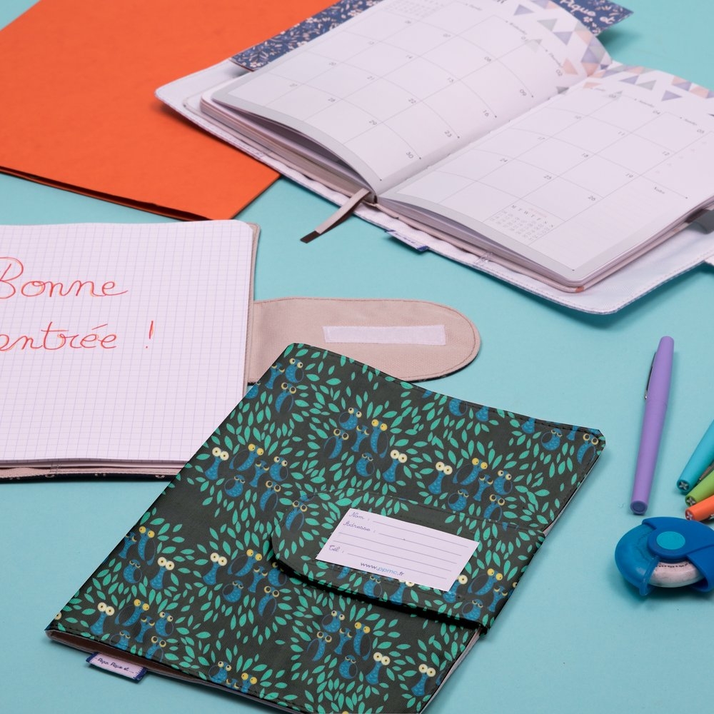 Protège Carnet De Santé Chouettes