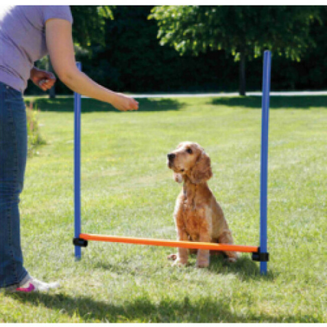 Obstacle Agility Trixie pour chiens