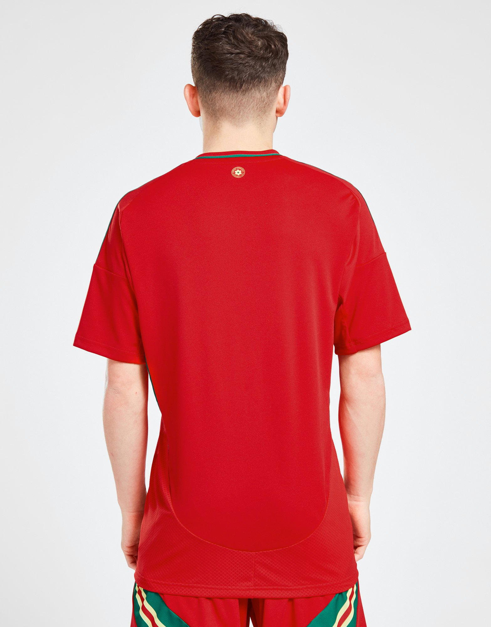 adidas Maillot Pays de Galles 2024 Match Domicile Homme