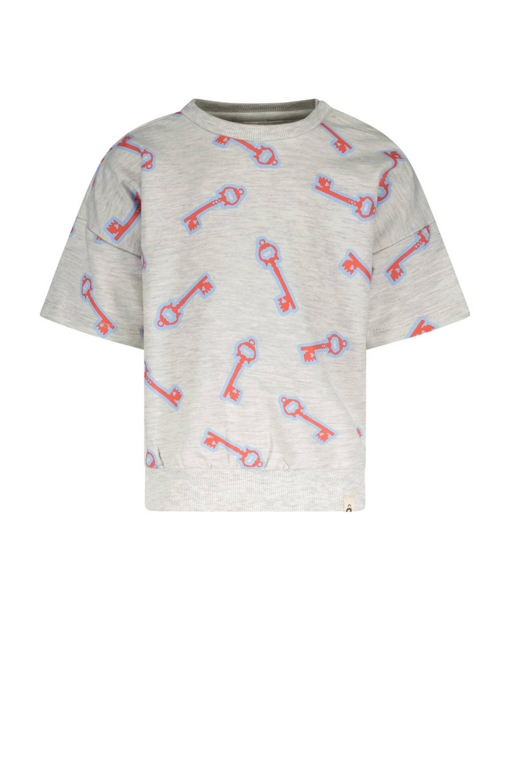 The New Chapter T-shirt Lux met all over print grijs/lichtblauw