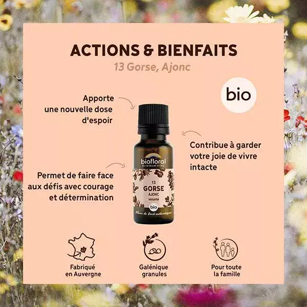 Biofloral 13 Gorse Gorse Granules Organic Bach Flower Granules 19.5 g