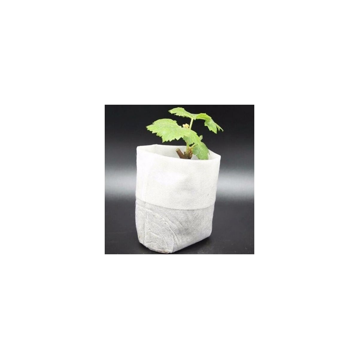 Planteringsposer i 100-Pk