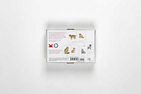 Cats & Kittens: A Memory Game