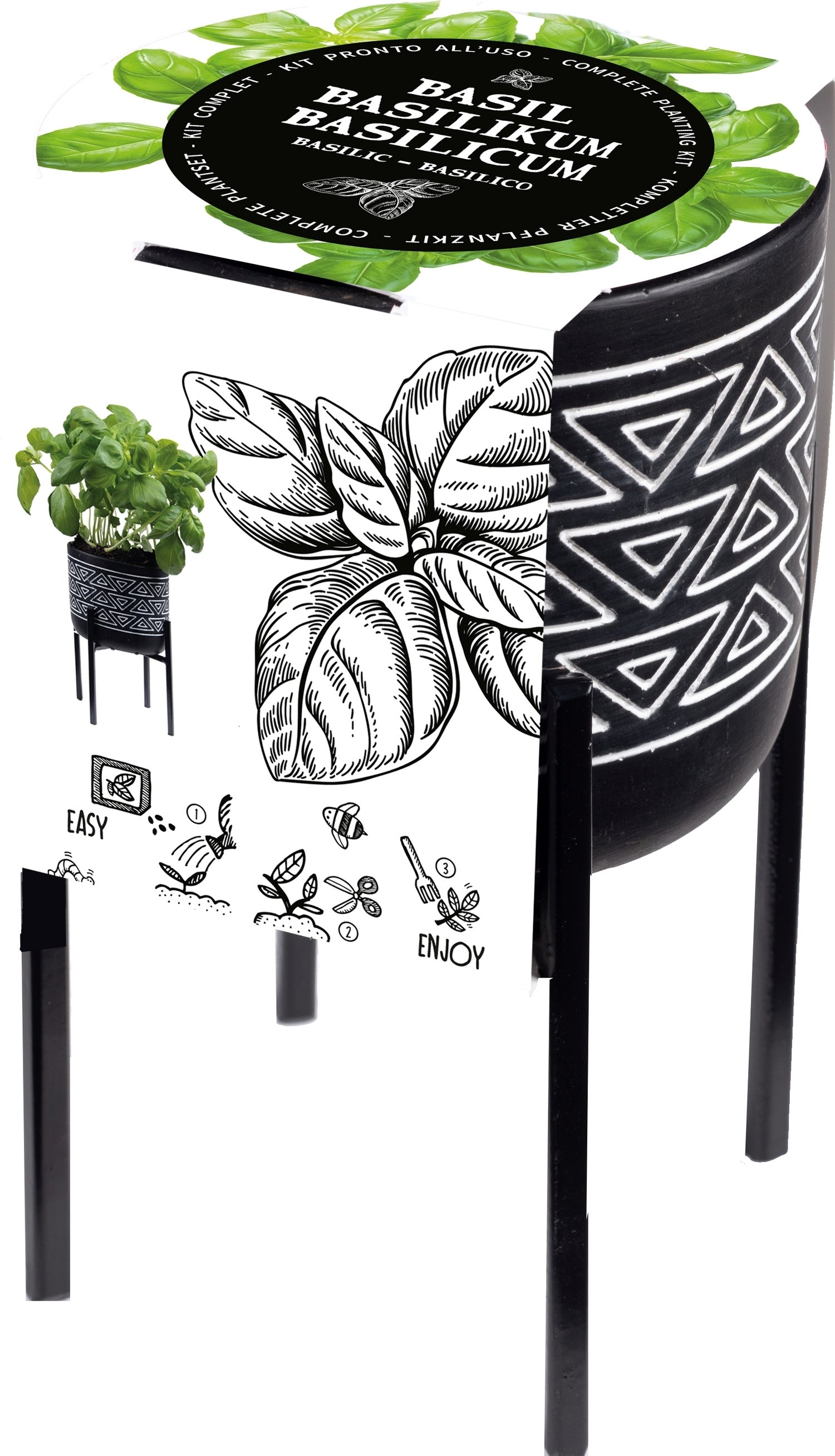 Florex kruidenset pot op poten Basilicum (Ocimum basilicum)