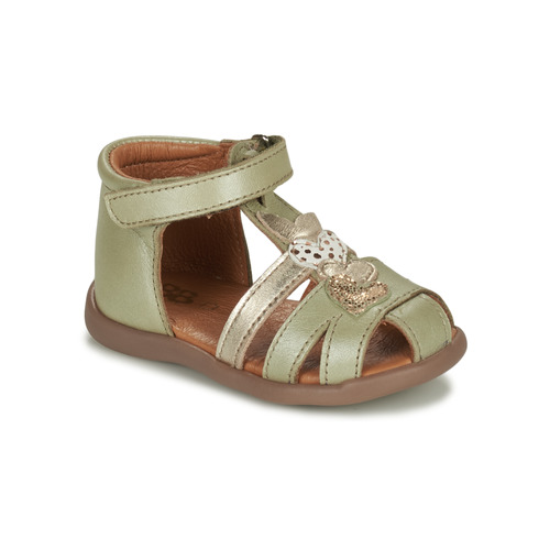 GBB - ENITA - Kaki