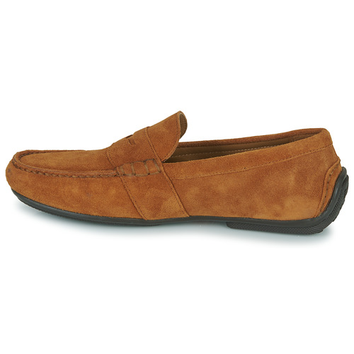 Polo Ralph Lauren - REYNOLD Cognac