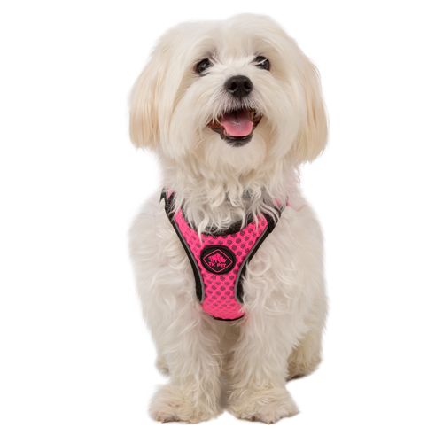 Coleira peitoral rosa TK-Pet Easy Click para cães